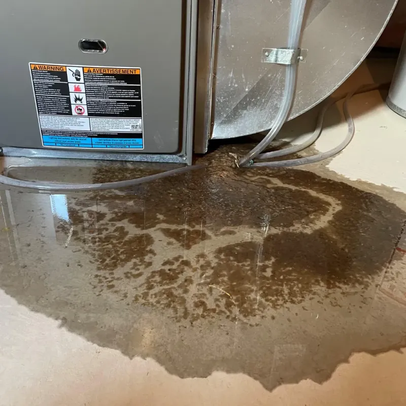 Appliance Leak Cleanup in Shady Hollow, TX